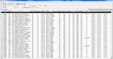 GIS (Geographic Information System)